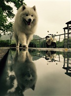 雨后2