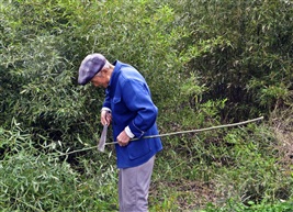 老篾匠