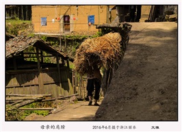 母亲的肩膀