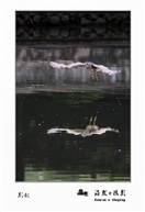 影形