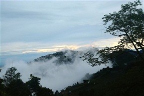 阿里山的风光