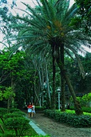 厦门大学一角