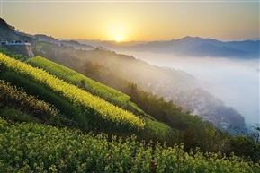 山村晨曲