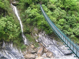 情定泰鲁阁