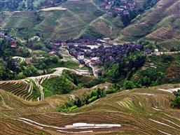 金坑梯田