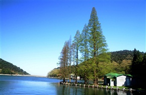 庐湖风光