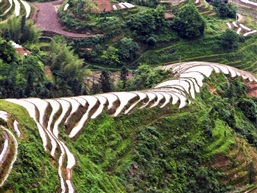 金坑梯田（三）