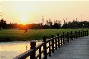 晨