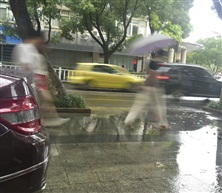 雨中