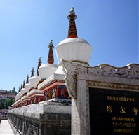 塔尔寺