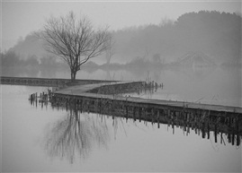 山色空蒙雨亦奇