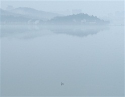 平湖朝雾水色新