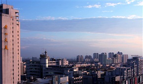 夕阳红