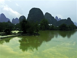 阳朔遇龙河风光