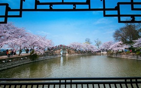 春天里