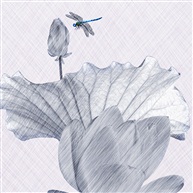 素描荷花