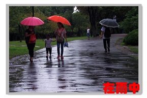 在雨中