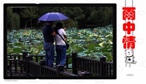雨中情