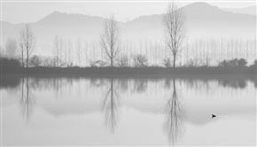 一湖秋意清水湾
