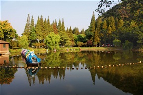 亭林小景