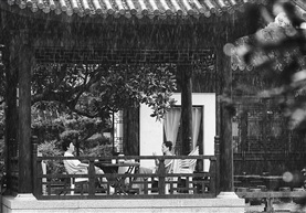 听雨
