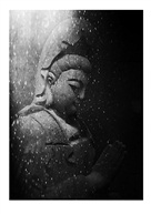 《佛缘》