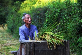 收获的喜悦