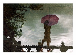 《雨中即景》