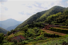 大山深处有人家