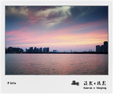 夕阳红