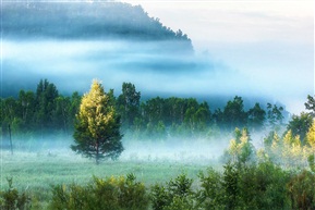 平凡一小景