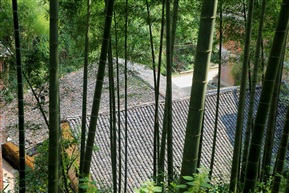 山里人家