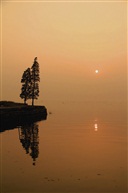 淀山夕阳红