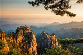 黄山石猴