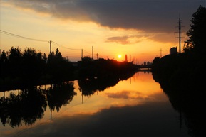 夕阳红