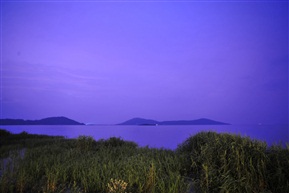 西山雨夜