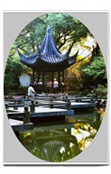 亭林一景