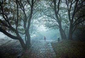 独行山道