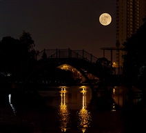 《月圆之夜》