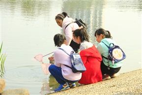 河边游兴浓