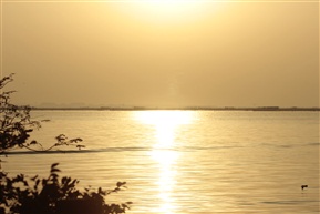 夕照阳澄湖