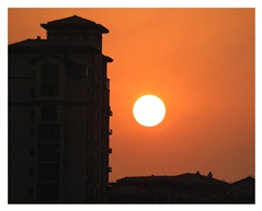 夕阳红