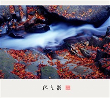 秋之韵