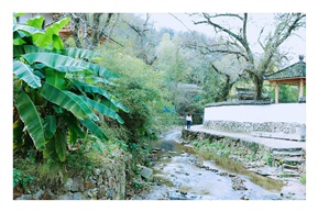 乡村生活