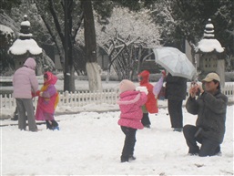 亭林雪景