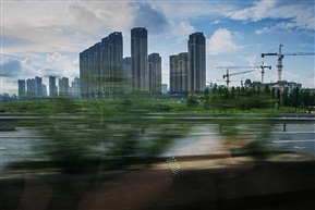 路边光景