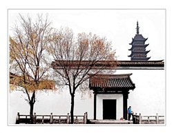 《秋风入庭树》