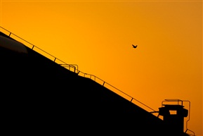 自由天空