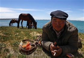 鄂陵湖畔牧马人