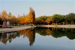 城市公园